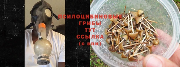 молекула духа Балахна