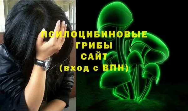 молекула духа Балахна