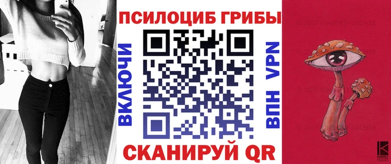 omg ТОР  Кировск  Галлюциногенные грибы Psilocybine cubensis  продажа наркотиков 
